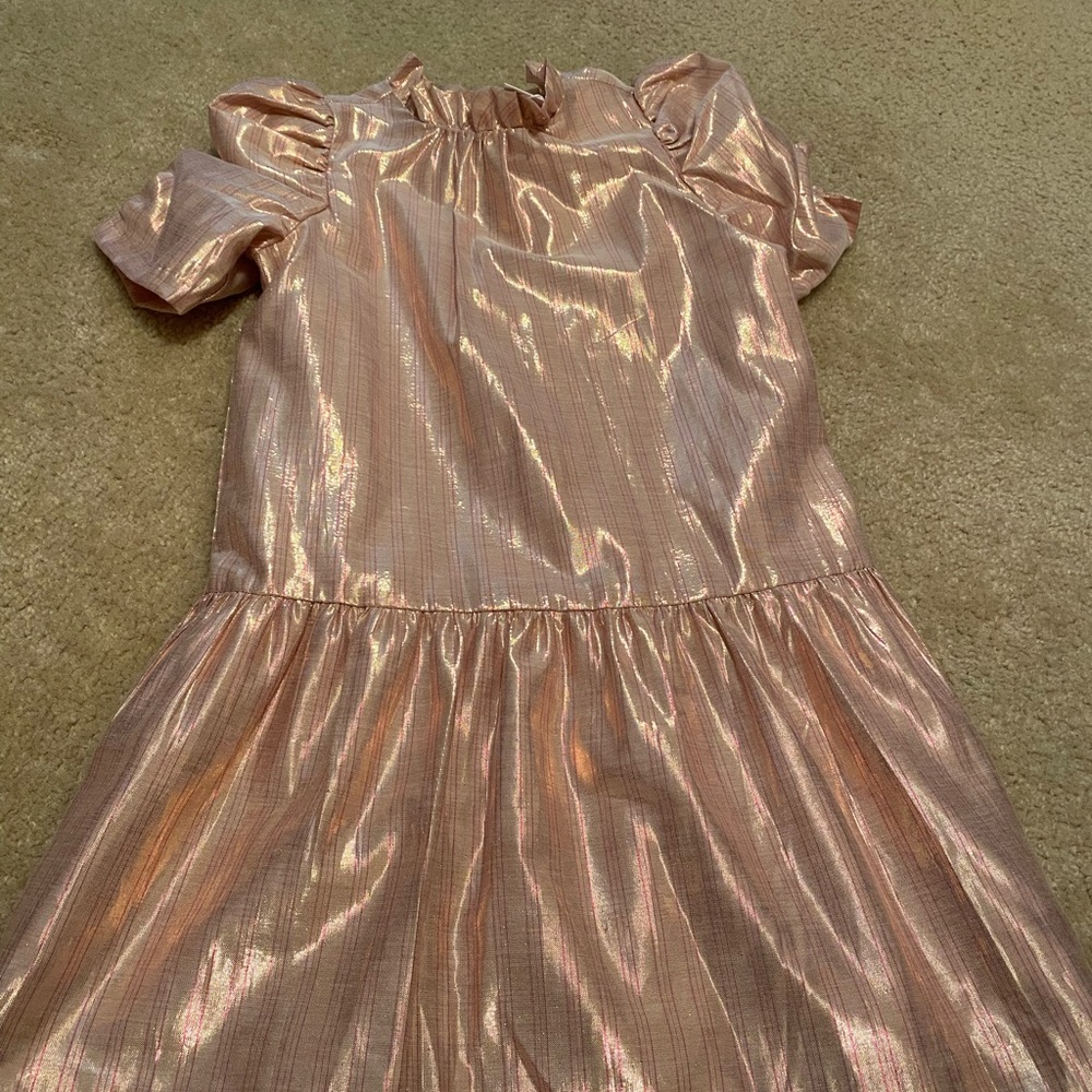 NWT Janie and Jack dress